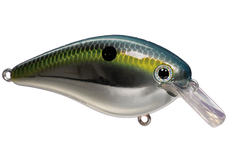 Strike King KVD 1.0 Squarebill Crankbait
