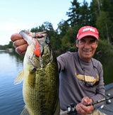 Rapala DT 4 Crankbait