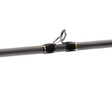 Team Lew's Elite Series Casting Rod