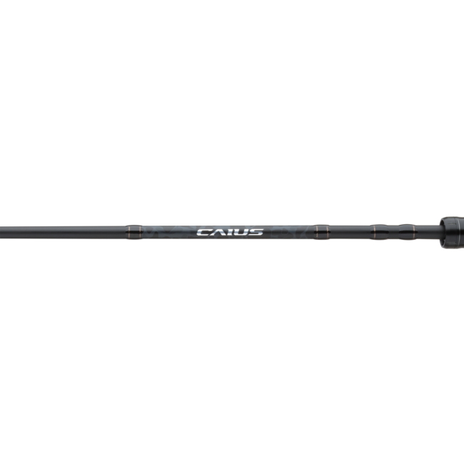 Shimano Caius Baitcast Combo