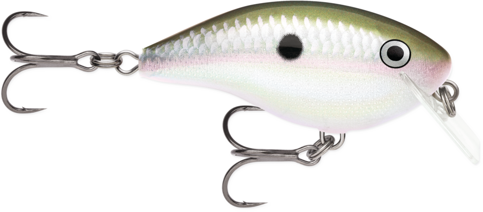 Rapala OG Rocco 5 Squarebill Crankbait