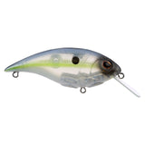 Berkley Shallow Money Badger Squarebill Crankbait
