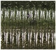 Yamamoto Slinko Floater Stick Bait