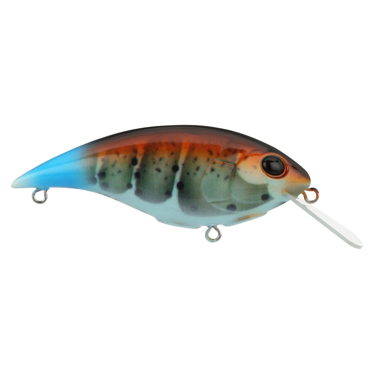 Berkley Shallow Money Badger Squarebill Crankbait