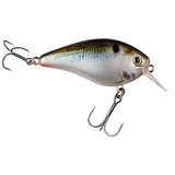 Strike King KVD 1.5 Squarebill Hard Knock Crankbait