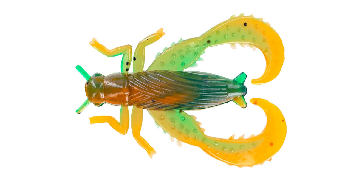 Big Bite Baits Bug Series Cricket
