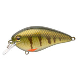 Strike King KVD Elite 1.5 Squarebill