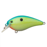 Strike King KVD Elite 1.5 Squarebill
