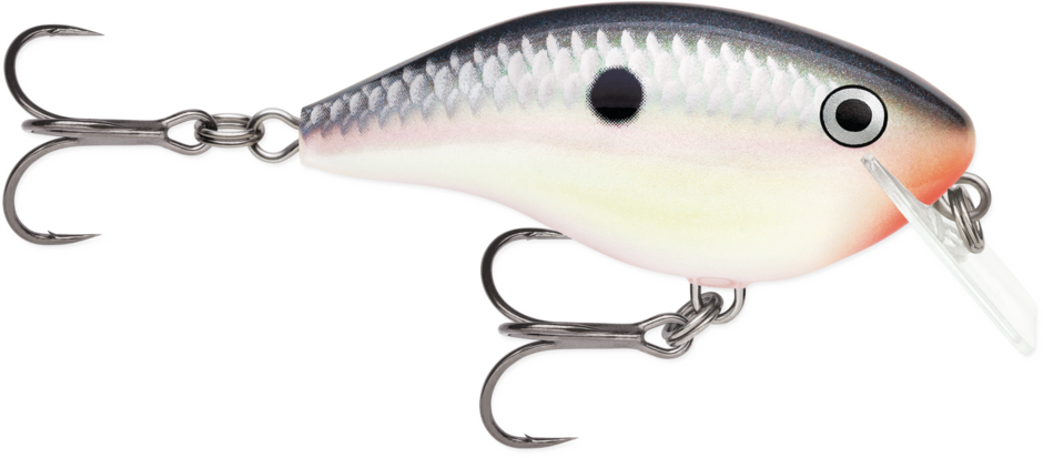 Rapala OG Rocco 5 Squarebill Crankbait