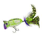 Arbogast Hula Popper 2.0 Topwater